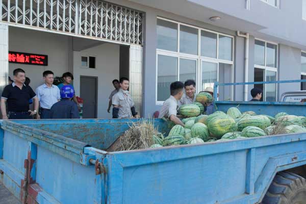 蚌埠政府送清凉正在搬运西瓜
